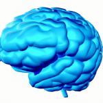 La neuroplasticité du cerveau